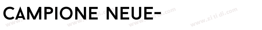 Campione Neue字体转换